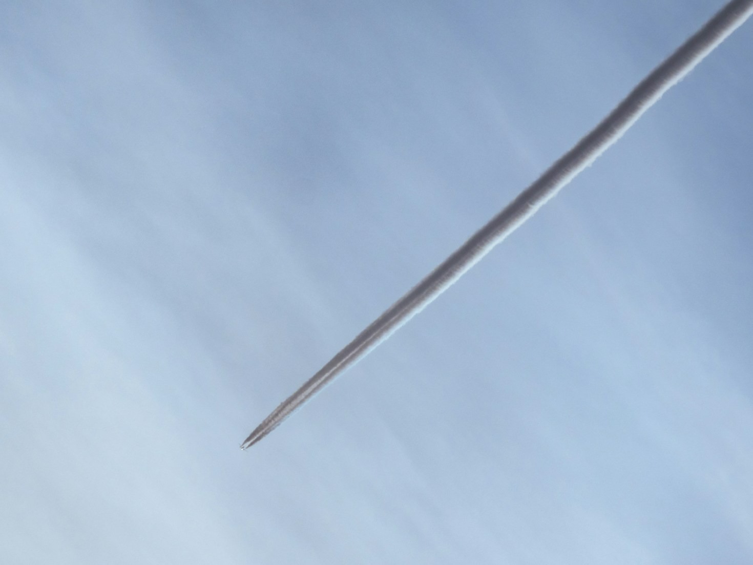 Understanding Acupuncture: What You Need to Know